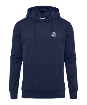 Hummel GO 2.0 Hoody Blau F7026