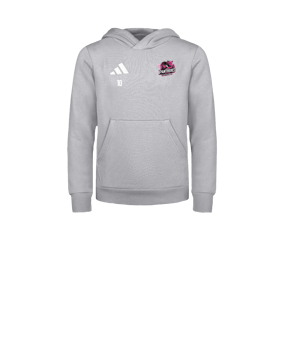adidas Entrada 26 Sweatshirt à capuche Enfants Gris