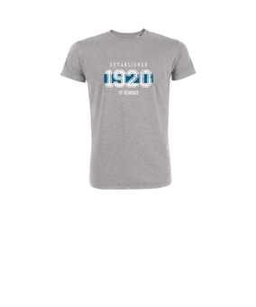 Merch Mini Creator 2.0 T-Shirt Kids Heather Grey | #established