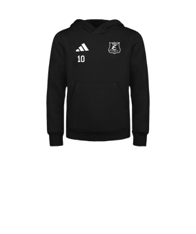 adidas Entrada 26 Hoody Kids Schwarz
