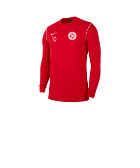 Nike Park 20 Sweatshirt Kids Rot F657