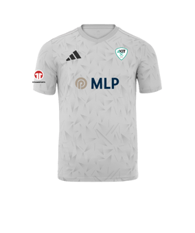 adidas Team Icon 25 Trikot Weiß
