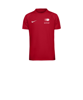Nike Academy II Trikot Kids Rot F657