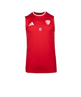 adidas Entrada 26 Sleeveless Trikot Weiß