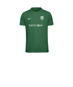 Nike Academy II Trikot Kids Grün F302
