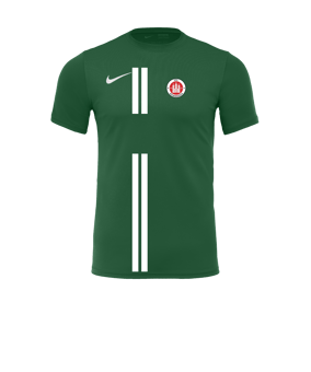 Nike Park VII Trikot kurzarm Grün F302