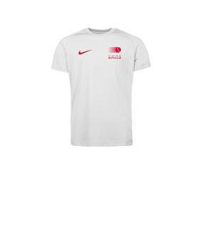 Nike Park VIII Trikot Kids Weiß F103