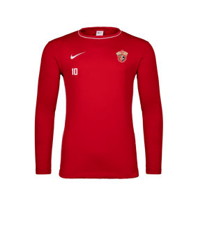 Nike Park 26 Longsleeve Rot F657