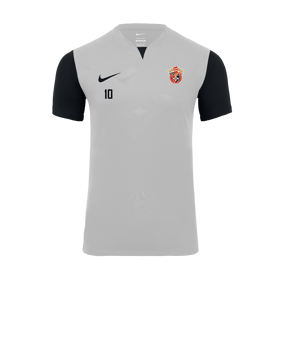 Nike Trophy V Trikot Weiss F100