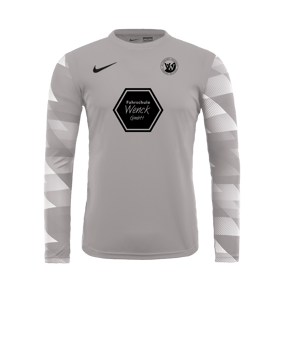 Nike Park IV TW-Trikot langarm Grau F052