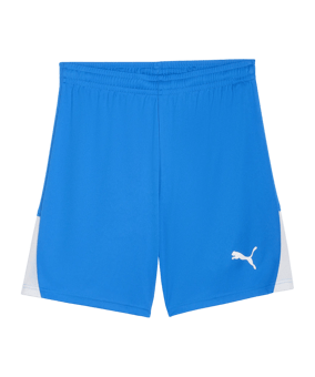 PUMA teamLIGA26 Short Blau F02 - blau