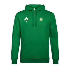adidas Entrada 26 Sweatshirt à capuche Vert