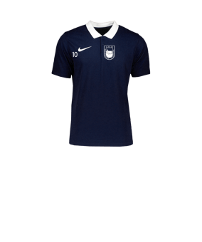 Nike Park 20 Poloshirt Kids Blau Weiss F451