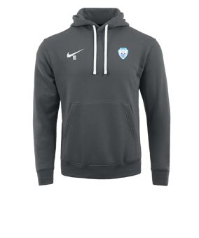 Sweat à capuche en polaire Nike Park 20 Gris blanc F071