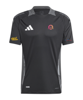 adidas Tiro 24 Comp Training Trikot Schwarz Grau