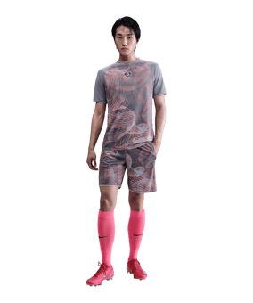 Nike Academy+ Short Rot F635 - rot