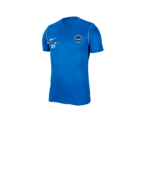 Nike Park 20 T-Shirt Kids Blau F463