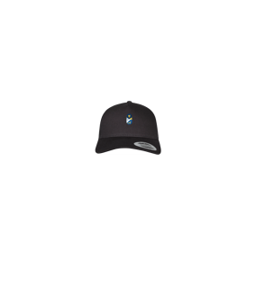 Merch 5 Panel Retro Trucker Cap Schwarz | logo4c