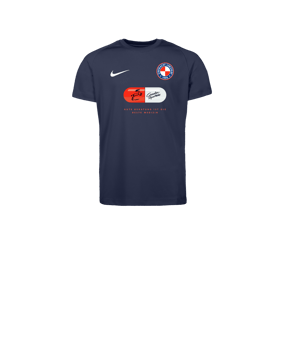 Nike Park VIII Trikot Kids Blau F410