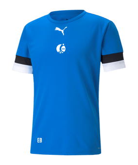 PUMA teamRISE Trikot Blau F02
