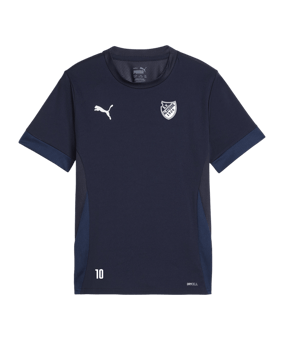 PUMA teamGOAL Matchday Trikot Kids Blau Weiss F06