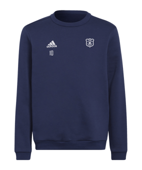 adidas Entrada 22 Sweatshirt Kids Blau