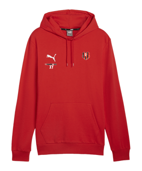 PUMA teamGOAL Casuals Hoody Rot F01