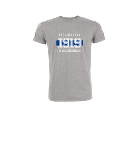 Merch Mini Creator 2.0 T-Shirt Kids Heather Grey  | #established