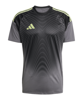 adidas Tiro 25 Competition Torwarttrikot Grau - grau