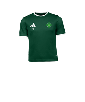 adidas Entrada 26 Maillot Enfants Vert 