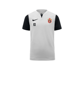 Nike Trophy V Trikot Kids Weiss F100