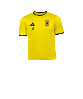 adidas Entrada 26 Trikot Kids Gelb