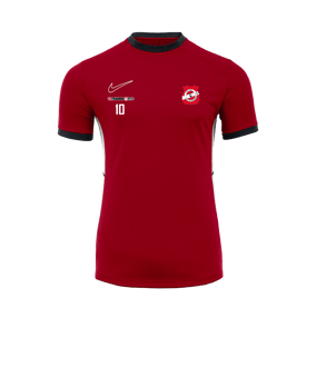 Nike Academy 25 Trainingsshirt Rot F657
