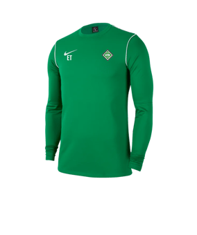 Nike Park 20 Training Sweatshirt Grün F302 