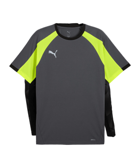 PUMA Trikot Grau F08 - grau