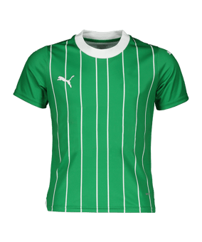 PUMA Trikot Kids Grün F01 - gruen