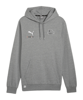 PUMA teamGOAL Casuals Hoody Grau F33