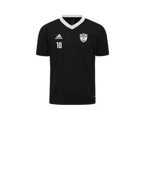 adidas Entrada 22 Trikot Kids Schwarz Weiss