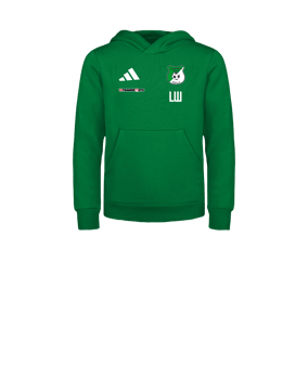 adidas Entrada 26 Hoody Kids Grün