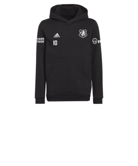 adidas Entrada 22 Hoody Kids Schwarz