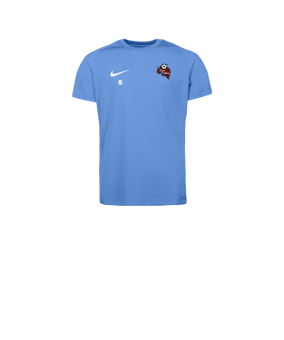 Nike Park VIII Maillot Enfants Bleu C412