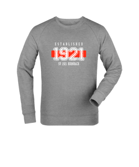 Merch Roller Sweatshirt Heather Grey | #established