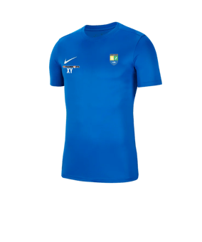 Nike Park VII Trikot kurzarm Blau F463