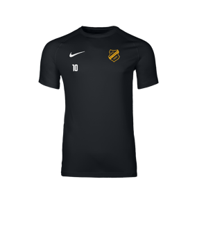 Nike Park VIII Trikot Schwarz F010