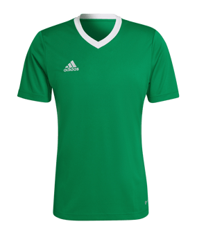 adidas Entrada 22 Trikot Grün - gruen