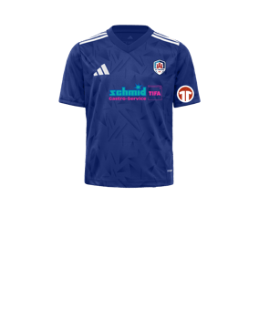 adidas Team Icon 25 Trikot Kids Blau