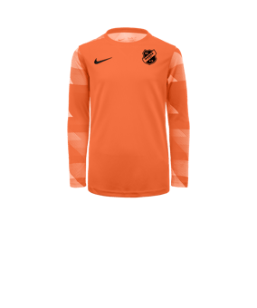 Nike Park IV TW-Trikot langarm Kids Orange F819