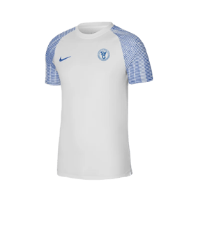 Nike Academy Trikot Weiss Blau F102