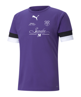 PUMA teamRISE Trikot Lila F10
