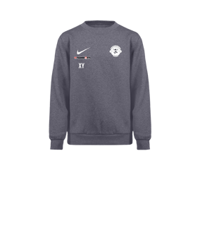 Nike Park 26 Sweatshirt Kids Grau F071